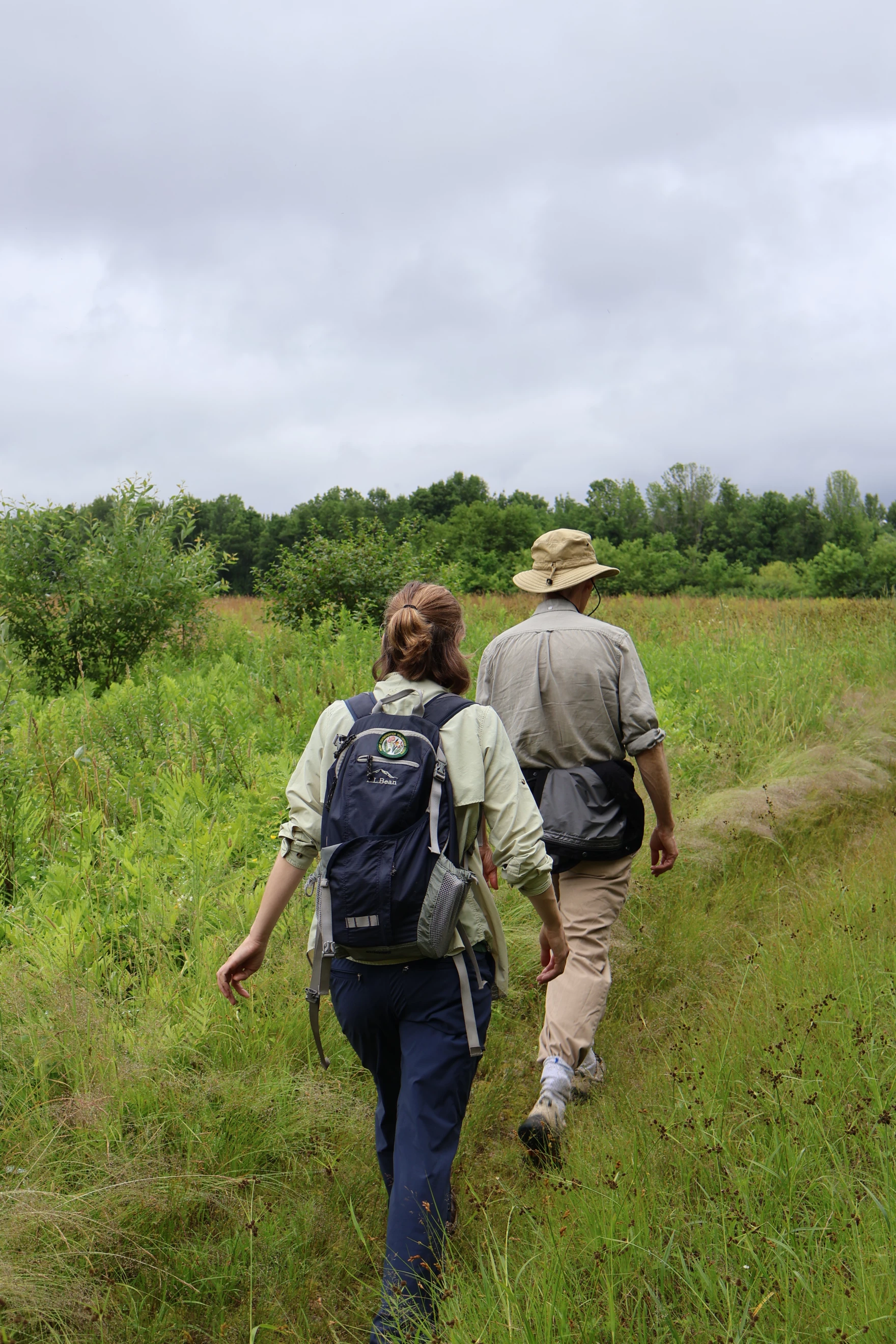 Scientists walking
